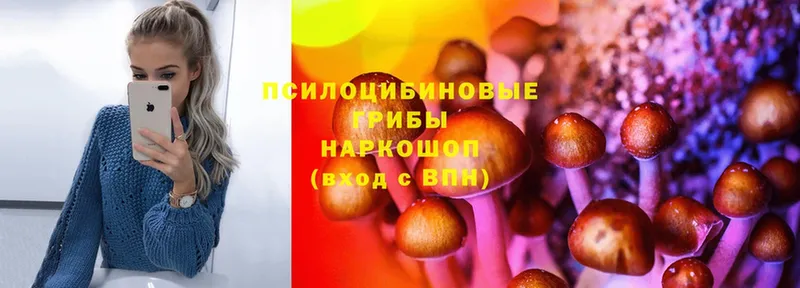 Псилоцибиновые грибы Magic Shrooms  Костомукша 